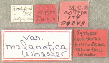 Media type: image; Entomology 21043   Aspect: labels